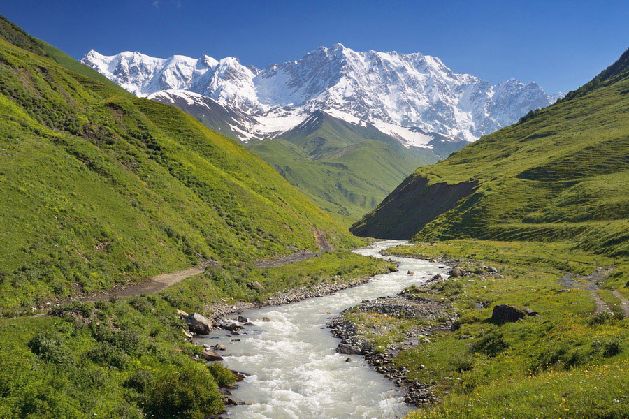 Georgia Landscape